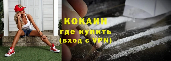 дурь Няндома