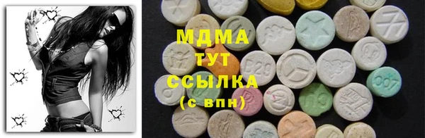 дурь Няндома