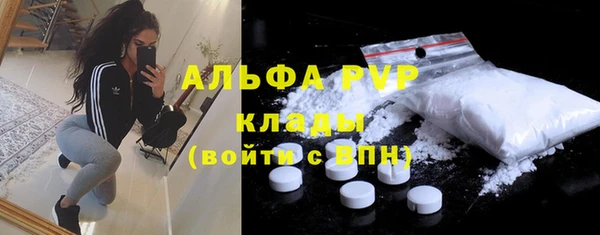 дурь Няндома