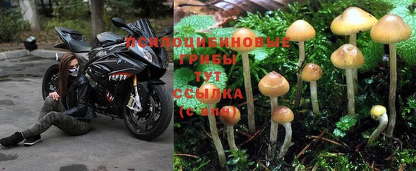эйфоретик Нязепетровск