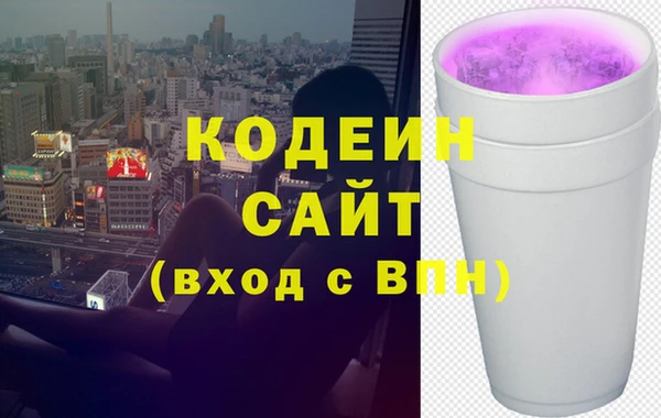 дурь Няндома