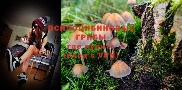 ешки Нягань