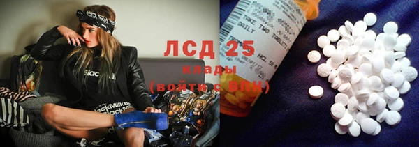 дурь Няндома
