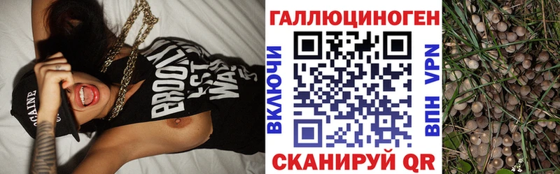 Псилоцибиновые грибы мицелий  Осинники 