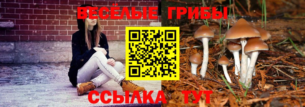 Осинники  Вход с VPN  Амфетамин   Alpha PVP СК кристаллы  Гашиш  Мефедрон кристаллы  Бошки Шишки  КОКАИН 